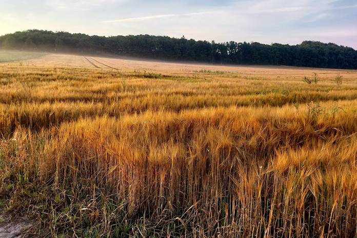 ORAI: Šeštadienio dieną vietomis trumpai palis, aukščiausia temperatūra 21–26°C